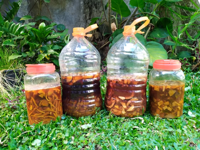 Eco Enzyme dari Kulit Buah